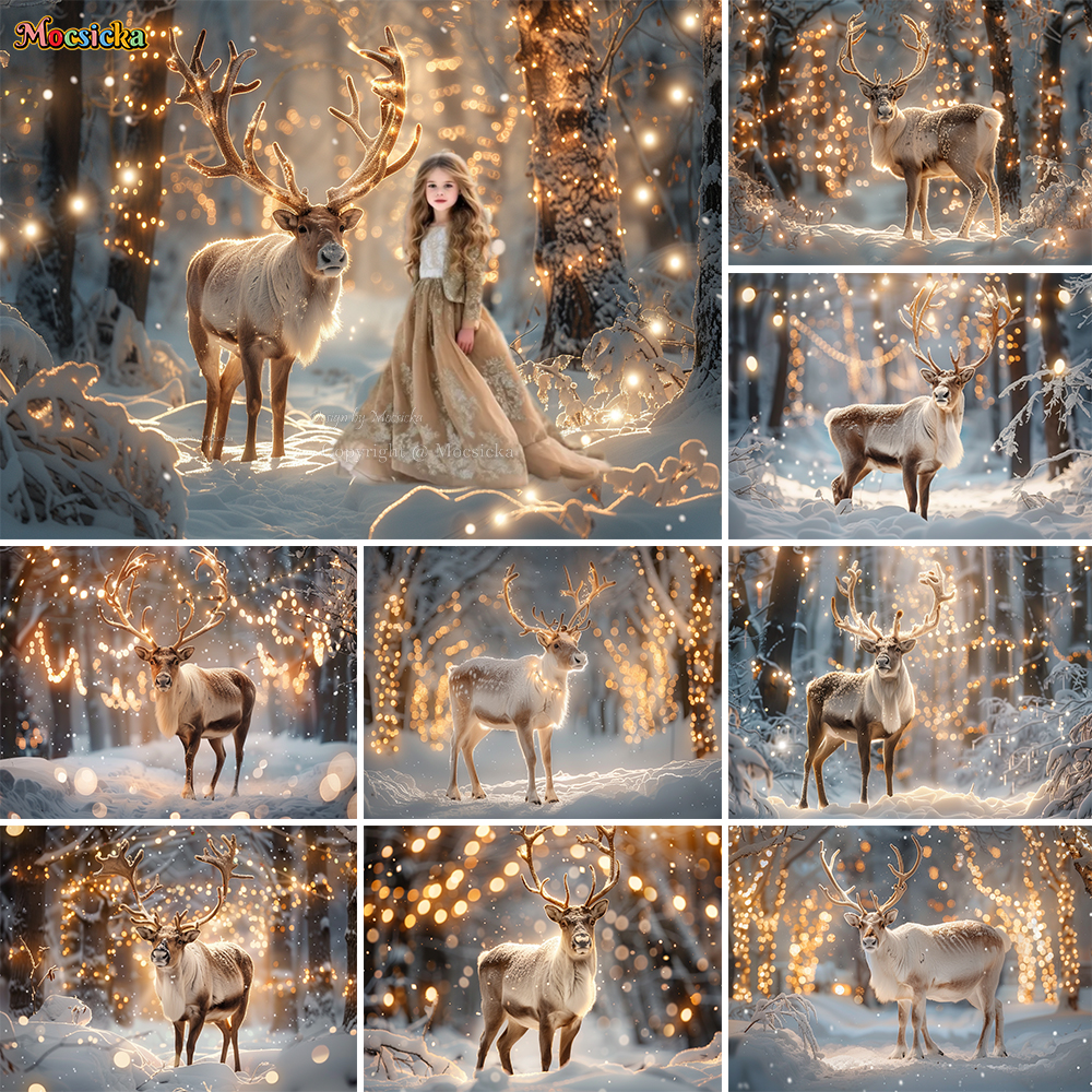 Winter Snow Scenes Photography - Photography Natural Lighting recensione e prezzo