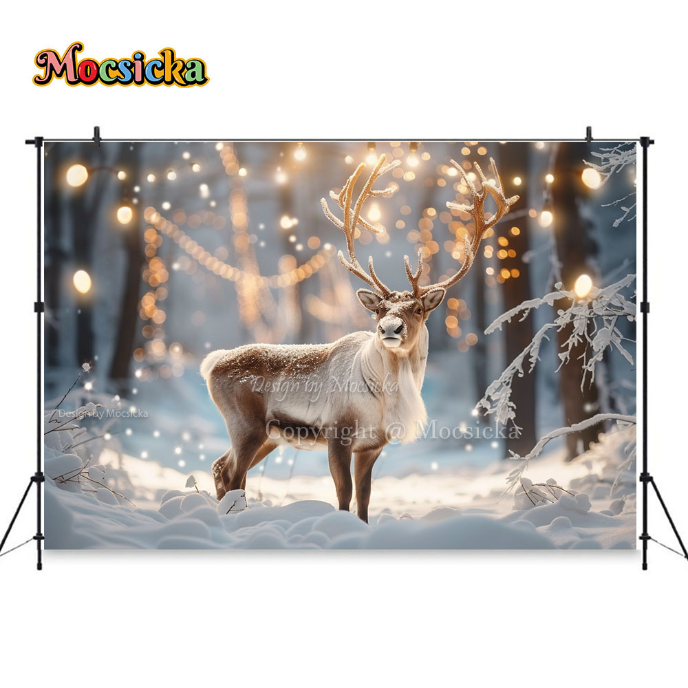 Winter Snow Scenes Photography - Photography Natural Lighting recensione e prezzo