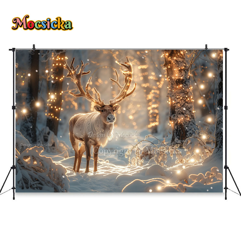Winter Snow Scenes Photography - Photography Natural Lighting recensione e prezzo
