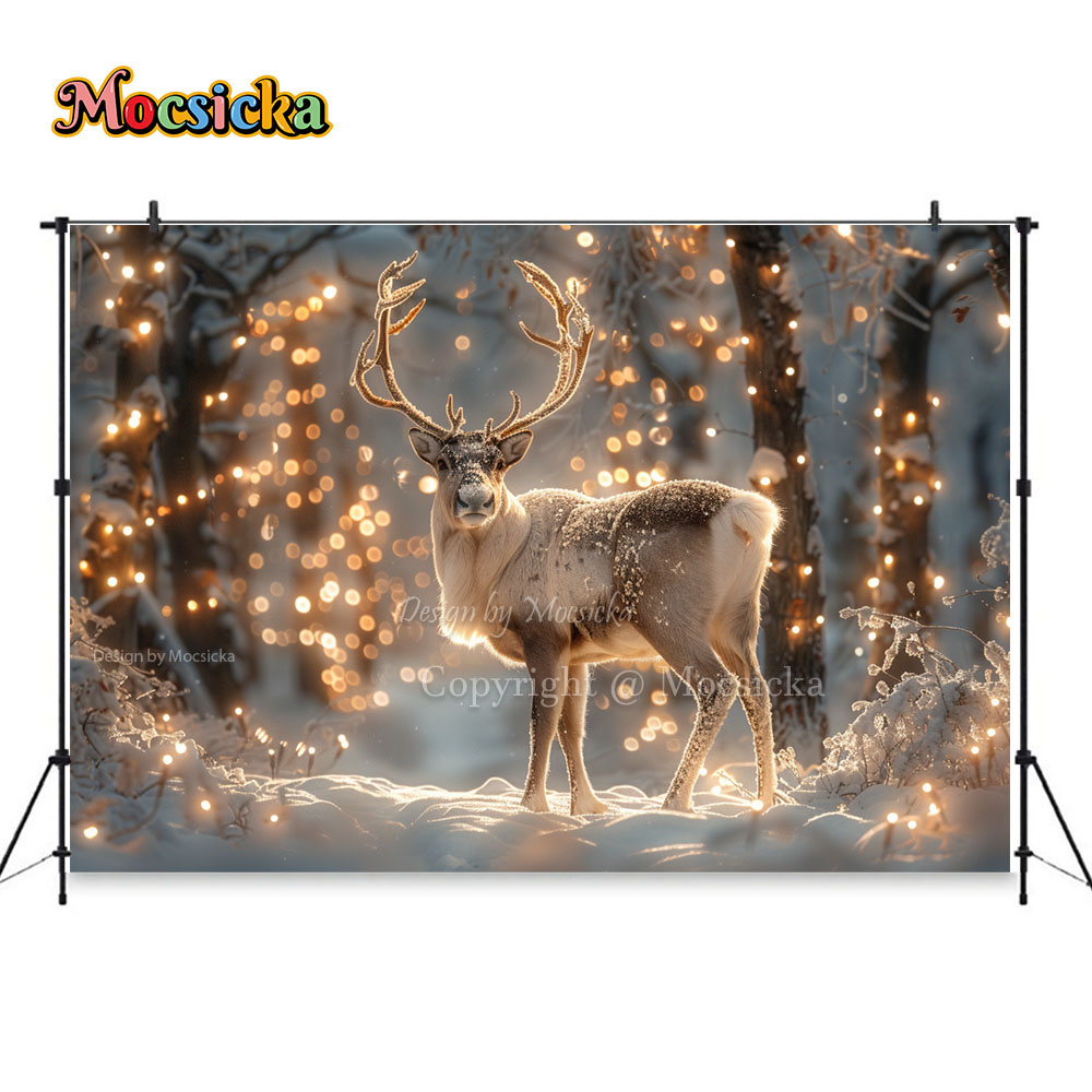 Winter Snow Scenes Photography - Photography Natural Lighting recensione e prezzo