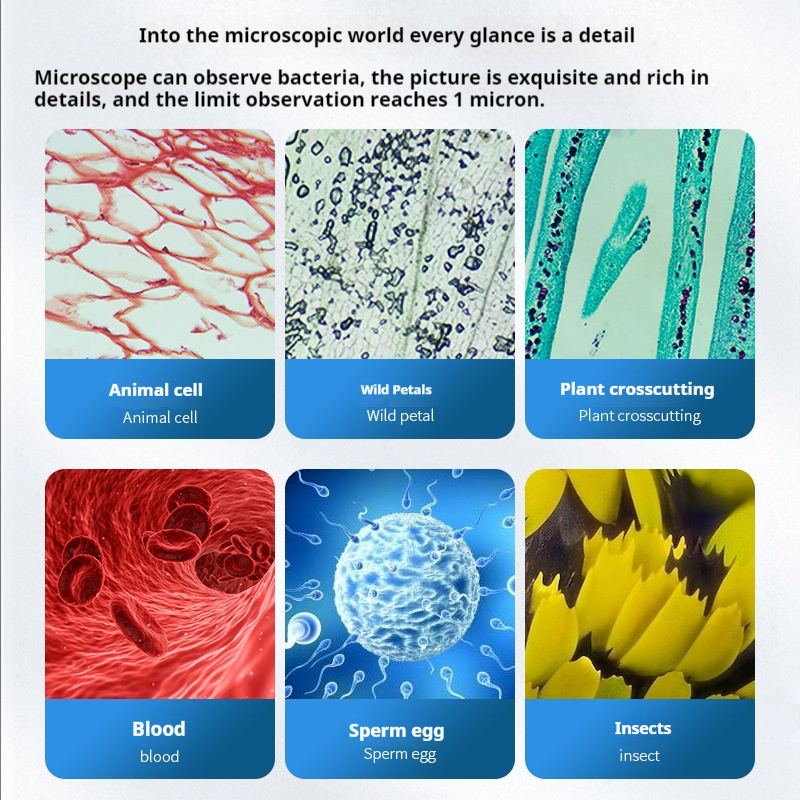 Research Grade Biological Micr - Photography University recensione e prezzo