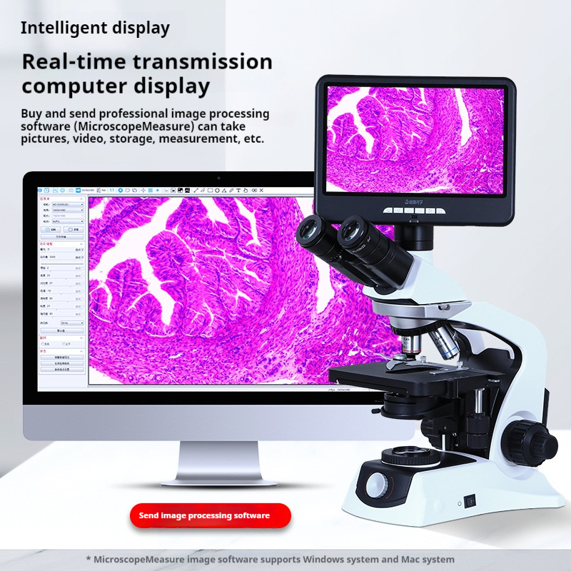 Research Grade Biological Micr - Photography University recensione e prezzo