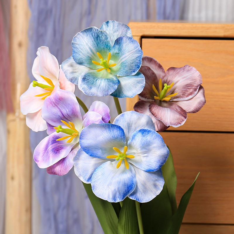 5pc 54cm Flip Tulip Gradient M - Photography Wedding recensione e prezzo