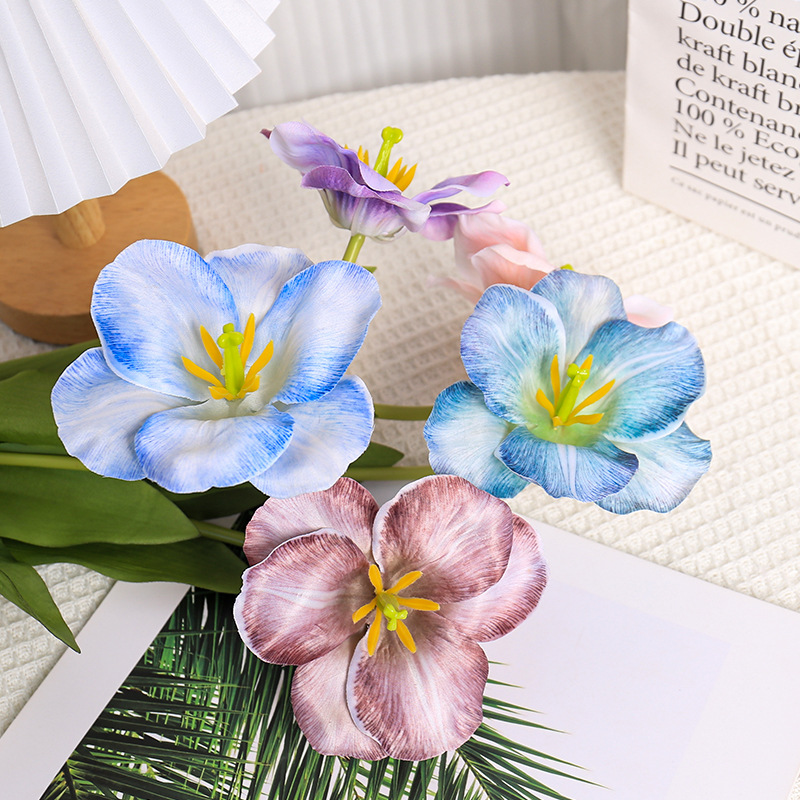 5pc 54cm Flip Tulip Gradient M - Photography Wedding recensione e prezzo
