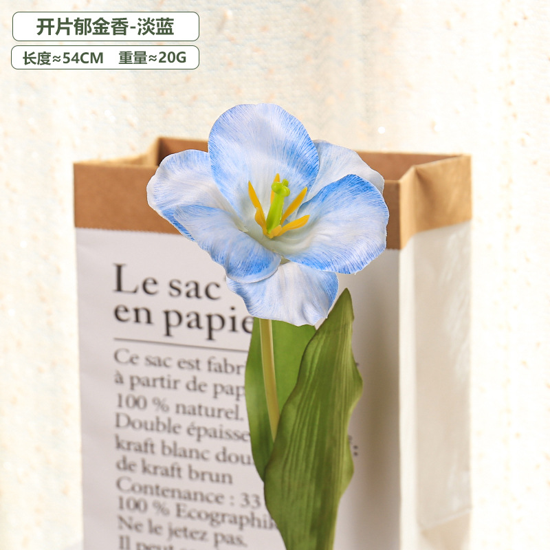 5pc 54cm Flip Tulip Gradient M - Photography Wedding recensione e prezzo