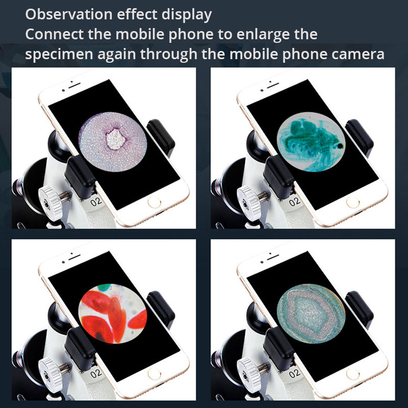 Optical Professional Biologica - Photography University recensione e prezzo