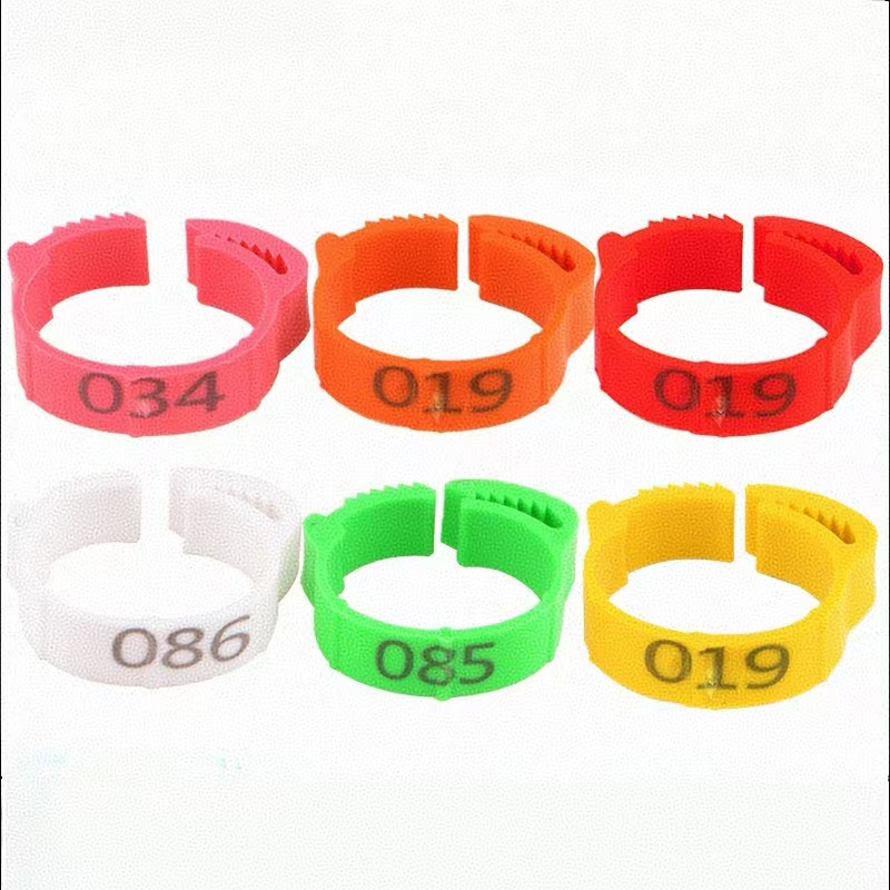 100pcs Chicken Foot Ring Label - Photography Duck recensione e prezzo