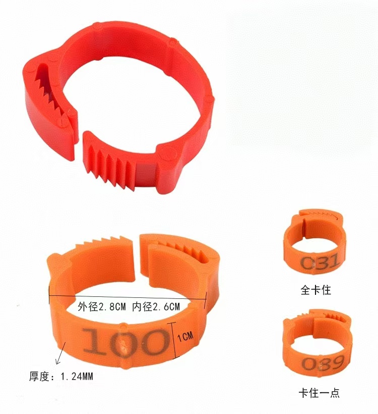 100pcs Chicken Foot Ring Label - Photography Duck recensione e prezzo