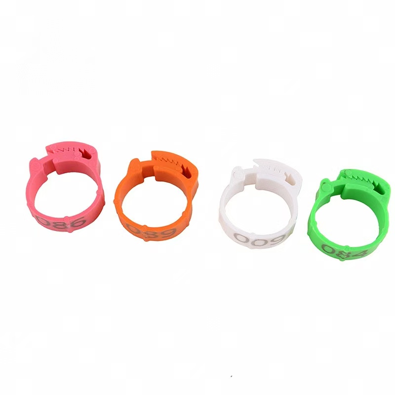 100pcs Chicken Foot Ring Label - Photography Duck recensione e prezzo