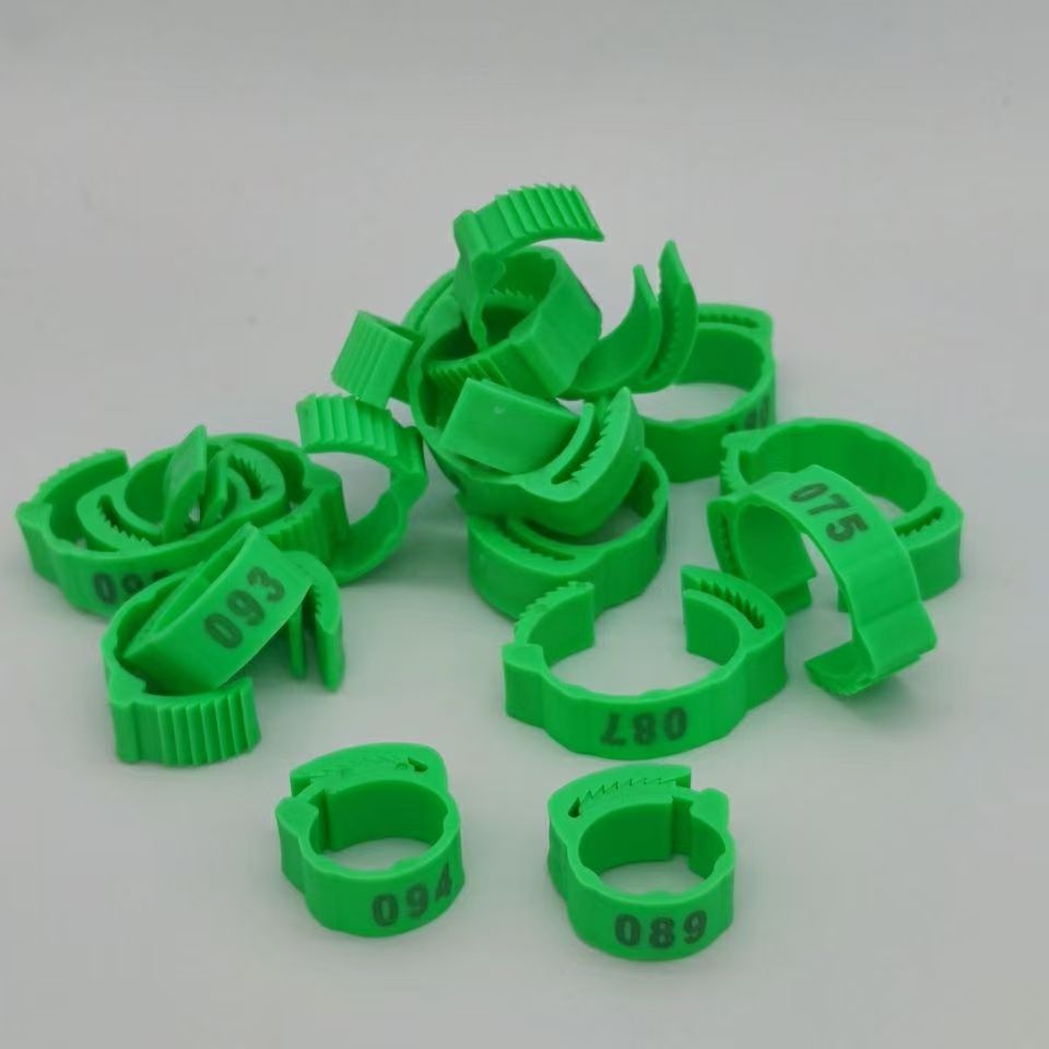 100pcs Chicken Foot Ring Label - Photography Duck recensione e prezzo