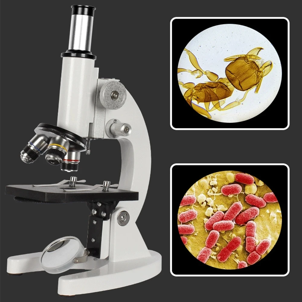 Optical Biological Microscope  - Photography University recensione e prezzo