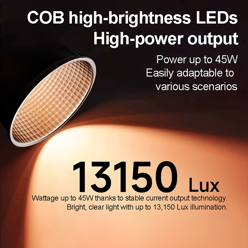60W RGB Video Light Portable L - Photography Natural Lighting recensione e prezzo