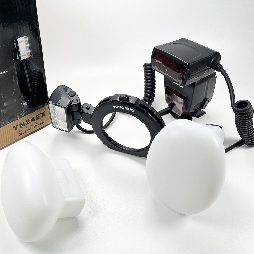 2pcs Silicone Softbox Dental M - Photography Natural Lighting recensione e prezzo